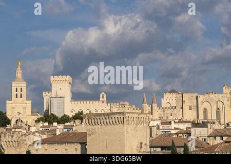 Historischer Panoramablick auf die Stadt Avignon Stockfoto