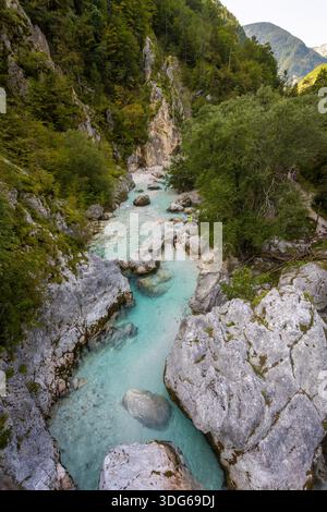 Der türkisfarbene Fluss Soca Isonzo fließt durch eine felsige Alpenschlucht mit klarem Wasser, Felsbrocken und grünem Wald in Slowenien bei Bovec Stockfoto