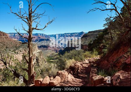 Ein felsiger Pfad schlängelt sich durch eine Wüstenlandschaft mit Blick auf entfernte Canyonformationen. USA Stockfoto