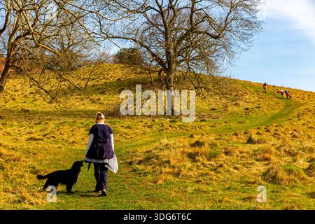 Frau, die im Frühjahr mit einem Baum in der Landschaft am Ragleth Hill in der Nähe von Church Stretton in den Shropshire Hills England, Großbritannien, unterwegs ist. Stockfoto