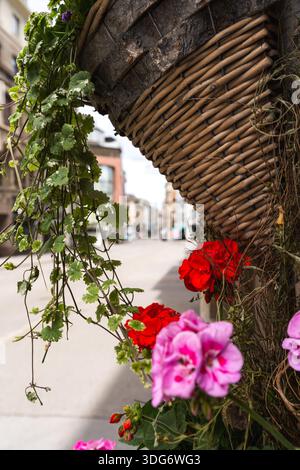 Eine Nahaufnahme fängt die Schönheit der roten und rosa Geranien ein, die aus einem rustikalen Korb sprudeln und einen Blick auf eine bezaubernde Pariser Stree werfen Stockfoto