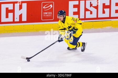 Zürich, Schweiz, 13. Dezember 2025: #20 Andre Petersson, Stürmer Schweden Männer Team mit dem Puck. (Foto: Andreas Haas/dieBildmanufaktur) Stockfoto