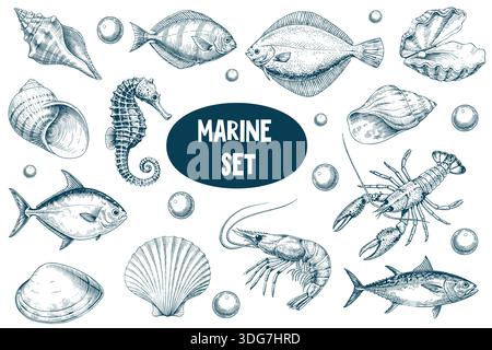 Umfassende Marine Set handgezeichneter Meeresbewohner und Muscheln in blauer Tinte auf weißem Hintergrund Stock Vektor
