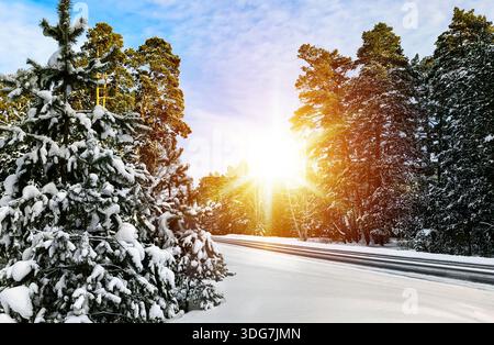 Sonnendurchflutete, schneebedeckte Waldstraße bei Sonnenaufgang, goldene Rochen durchdringen Kiefernäste, ruhige Winteratmosphäre Stockfoto