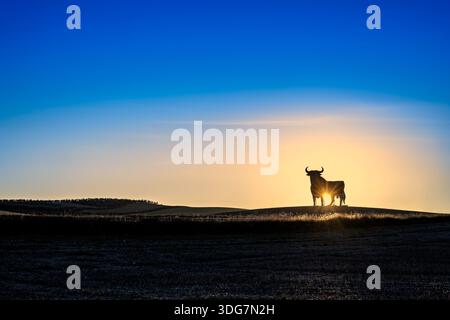 Die Silhouette des Osborne-Bullen steht vor einem lebhaften Sonnenuntergang in der spanischen Provinz Sevilla und schafft ein markantes und ikonisches Image im ländlichen Andalusien. Stockfoto