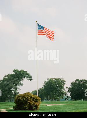 Die Flagge der Vereinigten Staaten flattert an einem Pfosten in einem grünen Park mit Bäumen um ihn herum an einem klaren Tag. Stockfoto
