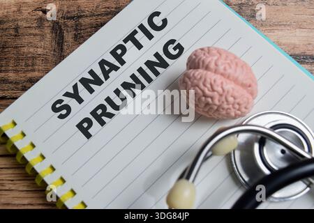 Konzept der synaptischen Beschneidung Schreiben auf Buch isoliert auf Holztisch. Stockfoto