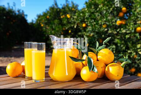 Kanne und Gläser frisch gepresster Orangensaft mit Orangen im Sommer im Freien Stockfoto