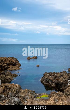 Felsige Küste, Houghton Bay, Taputeranga Marine Reserve, Wellington, Nordinsel, Neuseeland Stockfoto
