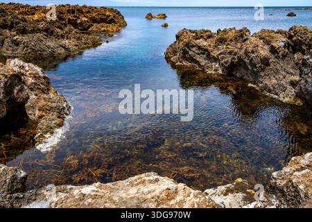 Felsige Küste, Houghton Bay, Taputeranga Marine Reserve, Wellington, Nordinsel, Neuseeland Stockfoto