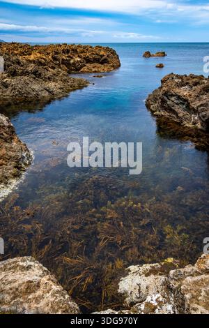 Felsige Küste, Houghton Bay, Taputeranga Marine Reserve, Wellington, Nordinsel, Neuseeland Stockfoto