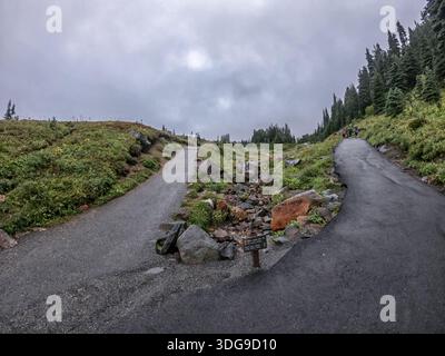 Ein Schild auf einer Straße weist auf eine Gabelung hin. Die Straße ist mit Felsen und Gras bedeckt Stockfoto