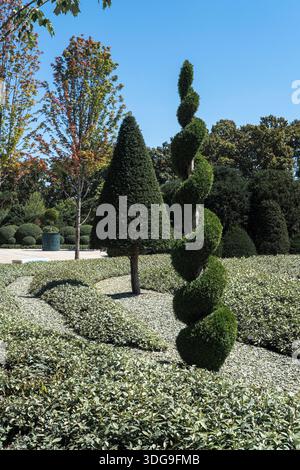 Ein wunderschön angelegter Garten verfügt über aufwändig geformte Sträucher mit Spiraldesign und Kegelform, umgeben von niedrigen Hecken mit einem Stockfoto
