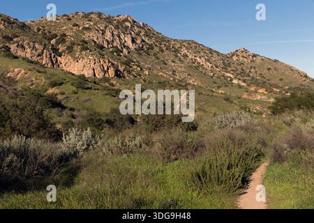 Der von Chaparral gesäumte Wanderweg schlängelt sich durch zerklüftete Hügel im El Scorpion Canyon Park in den Santa Susana Mountains, Kalifornien. Stockfoto