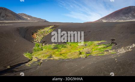 Island ist das Lieblingsland und die beliebtesten Menschen vieler Reisende. Atemberaubend zu jeder Jahreszeit mit einer faszinierenden Geologie. Stockfoto