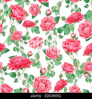 Nahtloses Muster auf weißem Hintergrund mit floralen Elementen: Rote Rosen, Knospen, Zweige und Blätter, handgezeichnet mit Aquarellen. Geeignet für Gewebe Stockfoto