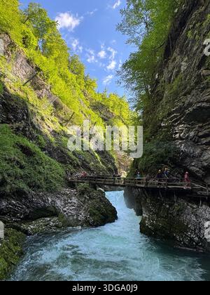 Der türkisfarbene Fluss von Vintgar schlängelt sich durch üppige Wälder und felsige Klippen, und ein Holzsteg bietet malerische Ausblicke Stockfoto