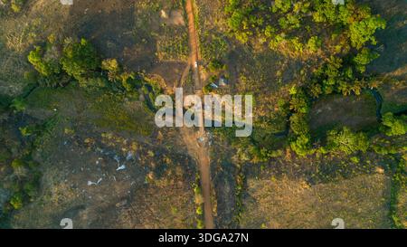 Blick aus der Vogelperspektive auf die rustikale Brücke über den ruhigen Fluss, umgeben von goldenen Grasland und grünen Bäumen, Derre, Provinz Zambezia, Mosambik. Stockfoto