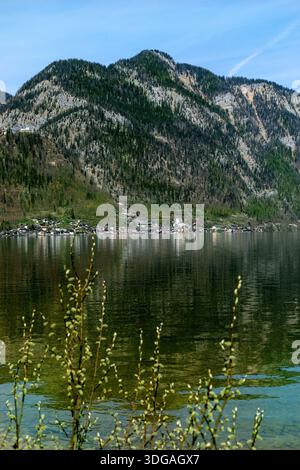Hallstatt Österreich. Malerisches kleines Dorf, eingebettet zwischen Berg und See. Die ruhige Wasseroberfläche spiegelt bewaldete Hügel und die friedliche Alpenlandschaft wider Stockfoto