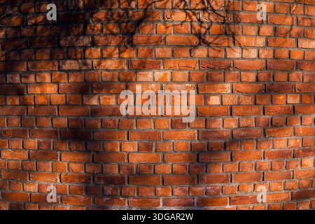 Wandstruktur aus rotem Ziegelstein mit natürlichen Licht- und Schattenmustern Stockfoto