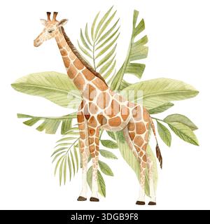 Handgemalte Giraffe in Aquarellfarben mit Bananen- und tropischen Blättern Stockfoto