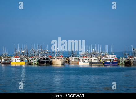 Fischerboote legten im Hafen von Digby am Annapolis Basin nahe dem Eingang zum Digby gut an, zur Bay of Fundy im Südwesten von Nova Scotia CA Stockfoto