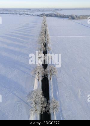 Gerade Straße mit Bäumen und langem Schatten in einer verschneiten Winterlandschaft, Luftsicht, Winter, Raureif, zwischen Adenstedt und Gross Buelten, Gemeinde Stockfoto