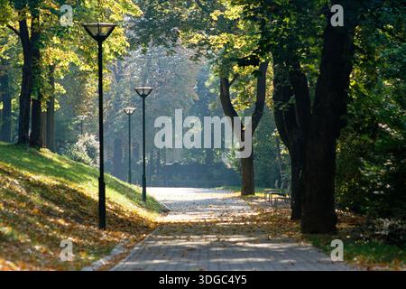 Der sonnendurchflutete Pfad führt an einem schönen Herbsttag durch einen Park mit Bäumen und Laternenpfählern. Stockfoto