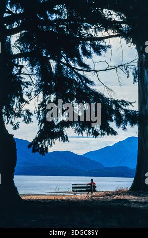 Ruhe mit Blick auf den See Stockfoto