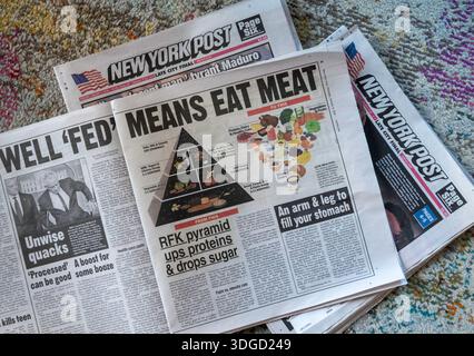 Stillleben im November 2025 Berichterstattung der New York Post über die New Government Food Pyramid, New York City, USA Stockfoto