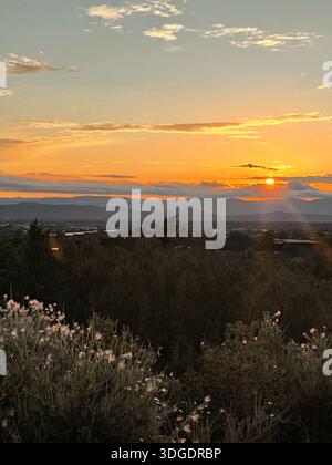 Sonnenuntergang mit Bäumen Stockfoto