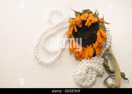 Getrocknete Sonnenblume mit Perlenkette gewickelt konzeptuelles Bild Stockfoto