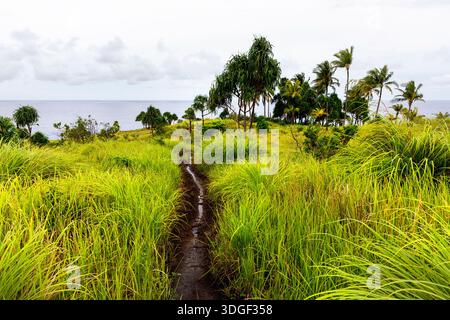 Spektakuläre tropische Insel Tagulandang nördlich von Sulawesi in Indonesien, Wanderweg auf einem grasbewachsenen Hügel zum Sandstrand Stockfoto