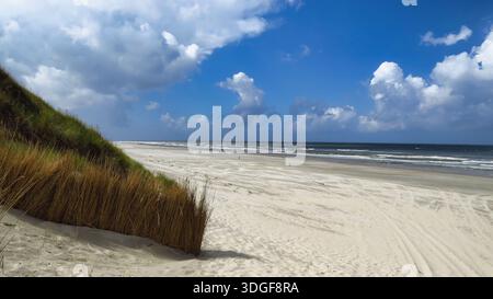 Ein Panoramablick auf einen weiten, leeren weißen Sandstrand auf der Insel Vlieland mit grasbewachsenen Dünen im Vordergrund. Stockfoto