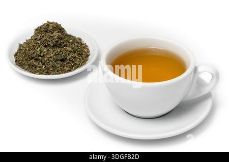 Weiße Tasse frisch gebrühten Minztee auf Untertasse mit Haufen getrockneter Pfefferminzblätter auf Teller, isoliert auf weißem Hintergrund. Stockfoto