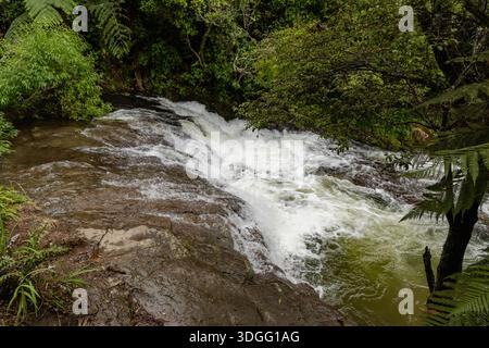 Waldstrom, Der Über Den Felsigen Wasserfall Fließt Stockfoto