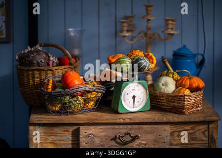 Ein herbstliches Stillleben auf einem Holzschrank mit Vintage grünen Waagen mit verschiedenen Kürbissen, Korbkörben gefüllt mit Kürbissen, einer Bronzekanne Stockfoto
