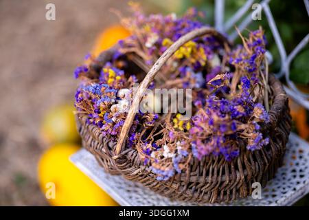 Eine Nahaufnahme eines Korbkorbs, gefüllt mit der getrockneten Blume Sea Lavendel (Limonium, statice, Caspia oder Sumpfrosmarin) aus violett, blau, gelb und weiß Stockfoto