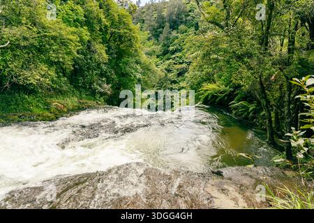 Üppiger Wald Wasserfall, Der Über Rocky Ledge Fließt Stockfoto