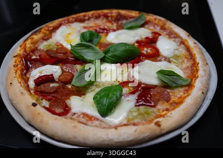 Eine frisch gebackene, original neapolitanische Pizza Margherita mit Tomaten, Mozzarella und frischem Basilikum Stockfoto