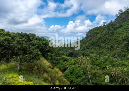 Üppiger tropischer Wald über den Bergen mit Blick auf die Bucht von Atuona, Hiva OA, Französisch-Polynesien. Eine atemberaubende Landschaft mit grünen Hügeln, Palmen und Th Stockfoto