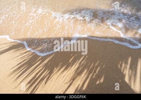 Der Schatten einer Palme erstreckt sich über den goldenen Sand von Anaho Beach, Nuku Hiva, Französisch-Polynesien und schafft eine tropische und ruhige Atmosphäre Stockfoto