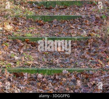 Alte Steintreppen bewachsen mit grünem Moos im Herbstwald Stockfoto