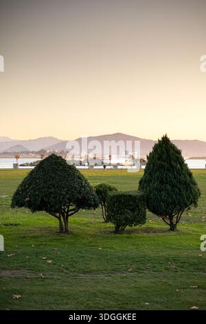 Ein ruhiger Park mit gepflegten Steilbäumen auf einem grünen Rasen mit Blick auf die Bucht von Santander und die fernen Berge in der Abenddämmerung. Ein Konzept des friedlichen, s Stockfoto