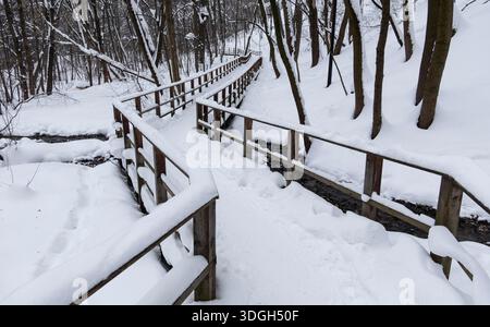 Eine schneebedeckte Holzbrücke mit einem Pfad, der zu ihr führt. Die Szene ist friedlich und ruhig, der Schnee schafft eine ruhige und ruhige Atmosphäre Stockfoto