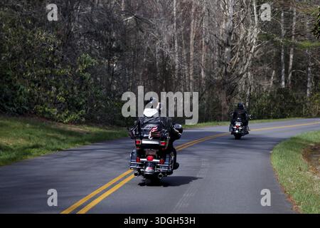 Motorradfahrer fahren auf einer kurvenreichen Straße durch bewaldete Gebiete, den Blue Ridge Parkway, USA Stockfoto