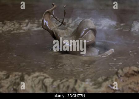 Ein sprudelnder Schlammbrunnen im Solfatarfeld von Kamado Jigoku, Beppu, Kyushu, Japan Stockfoto