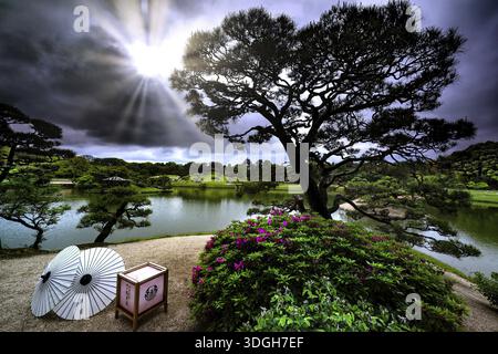 Malerische Ansicht von Korakuen von Okayama Castle mit heller Sonne und japanischen Sonnenschirmen, Okayama, Okayama, Japan Stockfoto