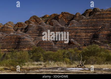 Blick auf die charakteristischen Felsformationen des Bungle Bungle in einem trockenen Flussbett, Purnululu National Park, Western Australia, Australien Stockfoto