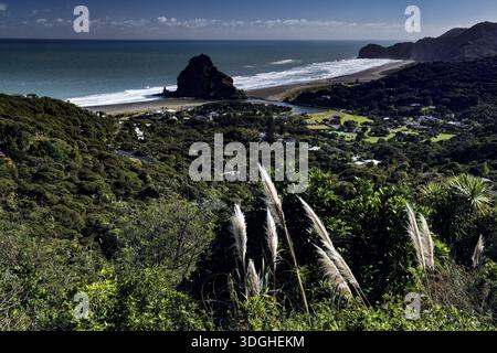 Blick auf Piha Beach mit felsigen Klippen und grünen Hügeln, Null Stockfoto